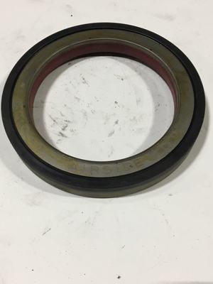 306-11245.288971.jpg