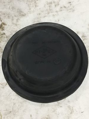 309-10721.289251.jpg
