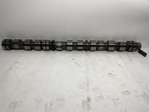 503-13023.928814.jpg