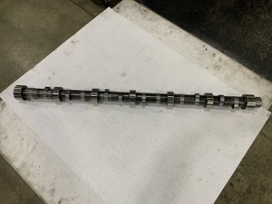 503-13287.758298.jpg