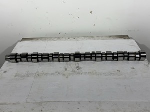 503-13295.759924.jpg