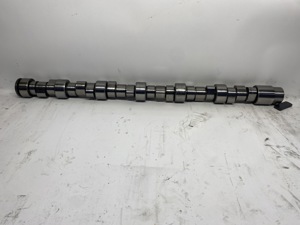 503-13383.929995.jpg