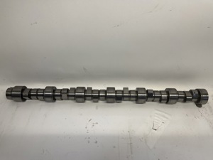 503-13393.929916.jpg