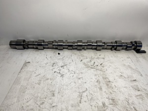 503-13394.929189.jpg