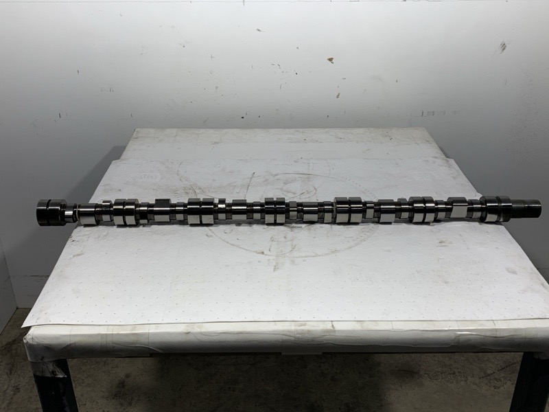 503-13403.813155.jpg