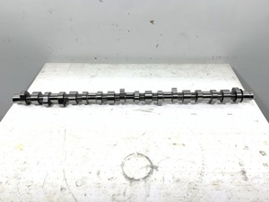 503-13404.815175.jpg