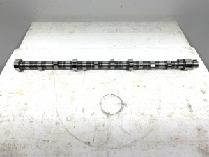 503-13407.815299.jpg