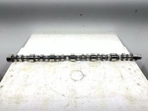 503-13412.816316.jpg