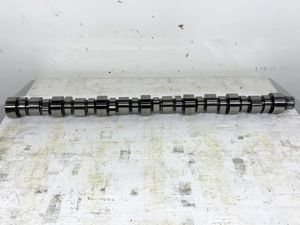 503-13464.842796.jpg