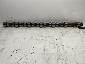 503-13503.930742.jpg