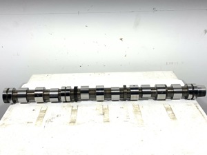 503-13517.873806.jpg