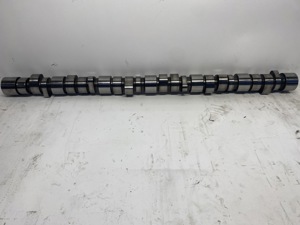503-13539.930126.jpg