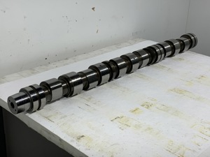 503-13614.925575.jpg