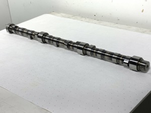 503-13628.925466.jpg