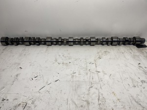 503-13636.930662.jpg