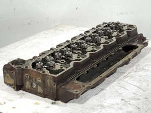 504-13281.824246.jpg