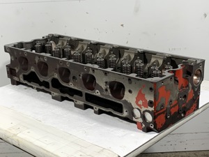 504-13419.911009.jpg