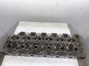 504-13565.892817.jpg