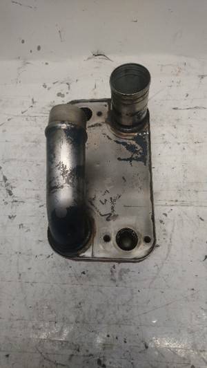 506-13005.783779.jpg