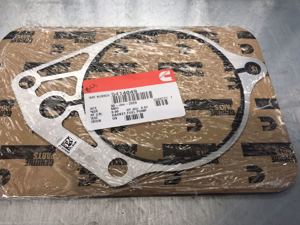 510-16946.462262.jpg