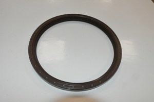 510-18561.547334.jpg