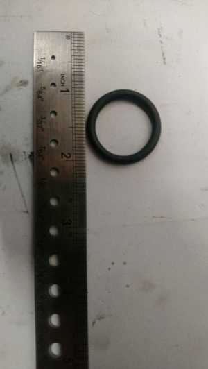 510-19347.583098.jpg
