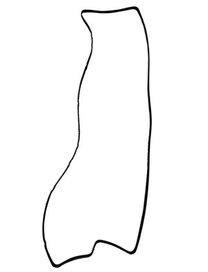 510-21562.668545.jpg