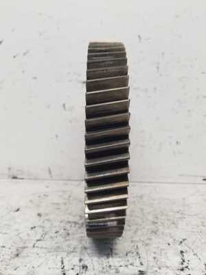 513-23737.326128.jpg