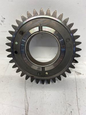 513-25652.720994.jpg