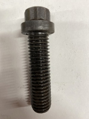 541-10155.982648.jpg