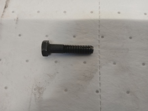 541-12040.933686.jpg