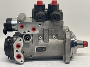 550-10747.966915.jpg
