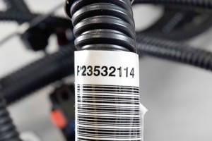 555-10042.331896.jpg