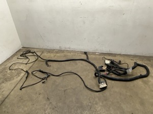 555-10728.779984.jpg