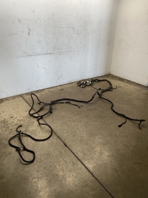 555-10896.836387.jpg