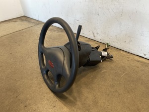 604-10955.1000319.jpg