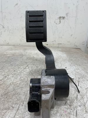 649-10098.447994.jpg