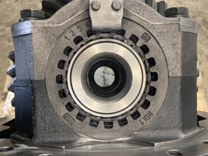 700-15284.957576.jpg
