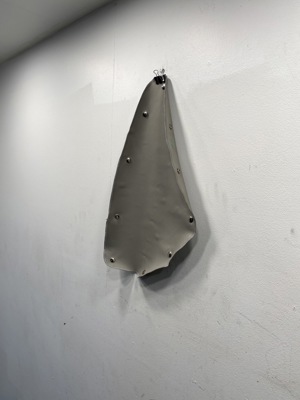 732-10122.894716.jpg