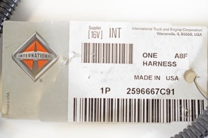 758-10029.290523.jpg